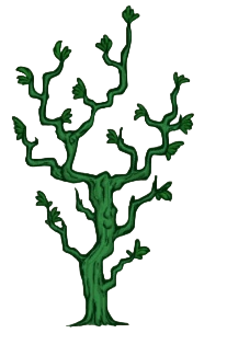 柳树